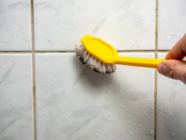 Best Mold Testing and Removal  in Pleasure Point, CA