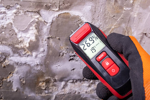 Best Water Damage Restoration  in Pleasure Point, CA