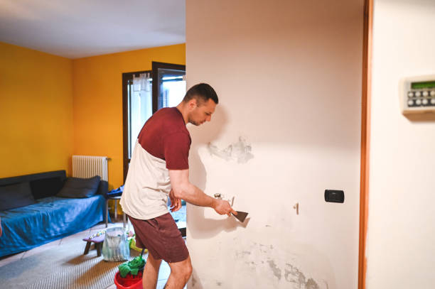 Best Mold Damage Repair  in Pleasure Point, CA